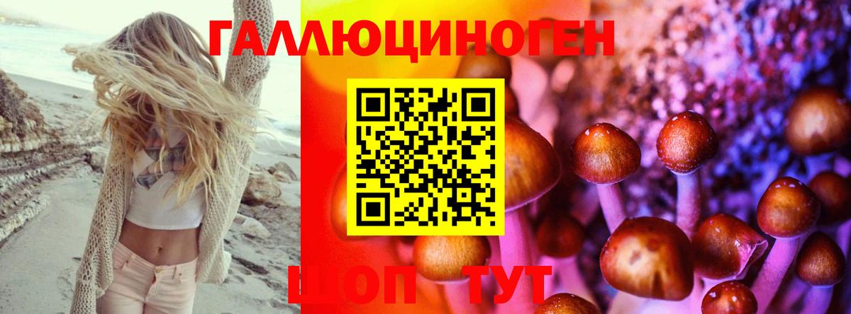 Галлюциногенные грибы Psilocybe  Вход с VPN  Псилоцибиновые грибы Psilocybe  Реж 